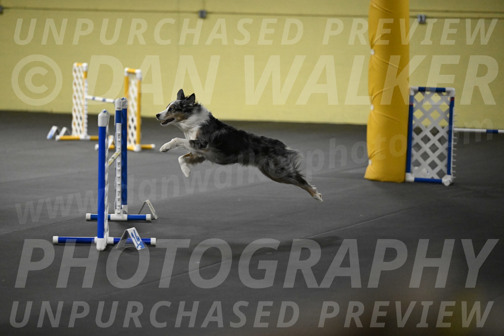 Kaiden-Armbrust-05708