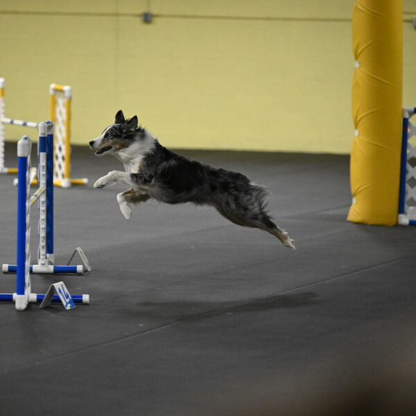 Kaiden-Armbrust-05708