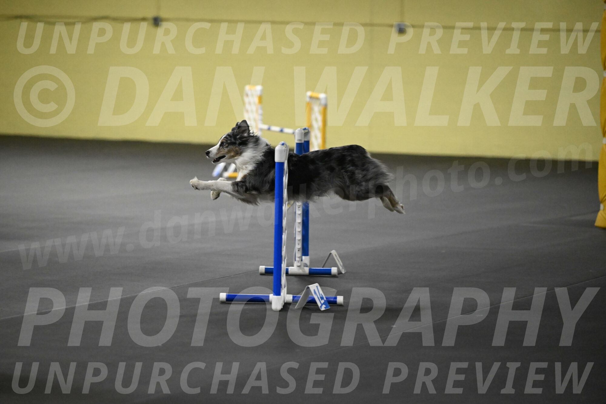 Kaiden-Armbrust-05710