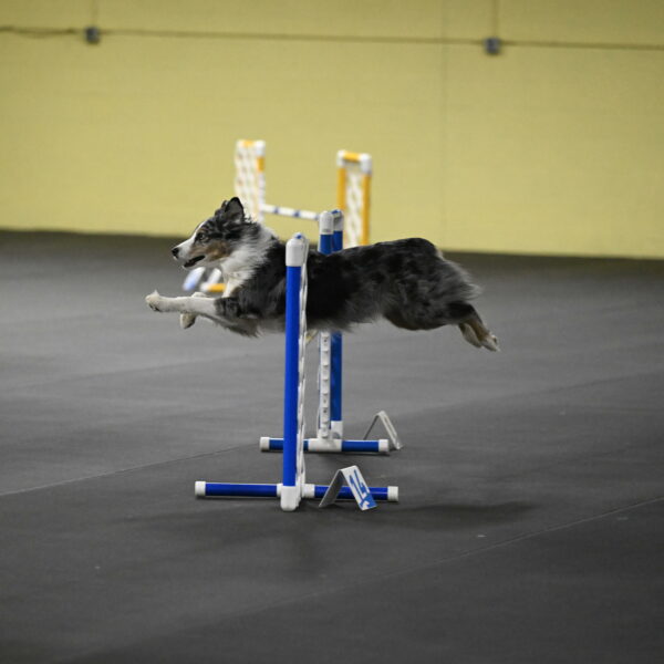 Kaiden-Armbrust-05710