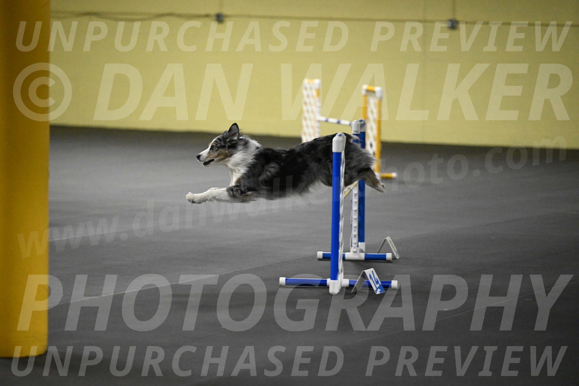 Kaiden-Armbrust-05711