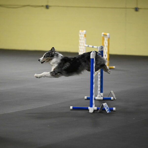 Kaiden-Armbrust-05711