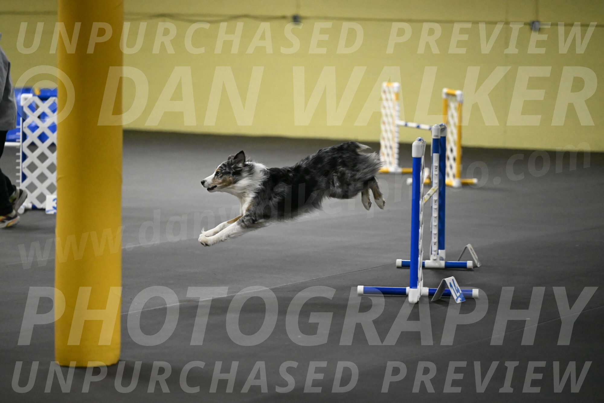 Kaiden-Armbrust-05712