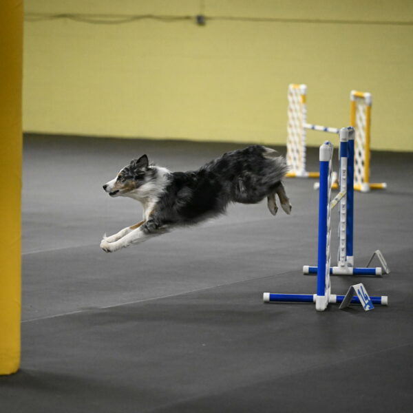 Kaiden-Armbrust-05712