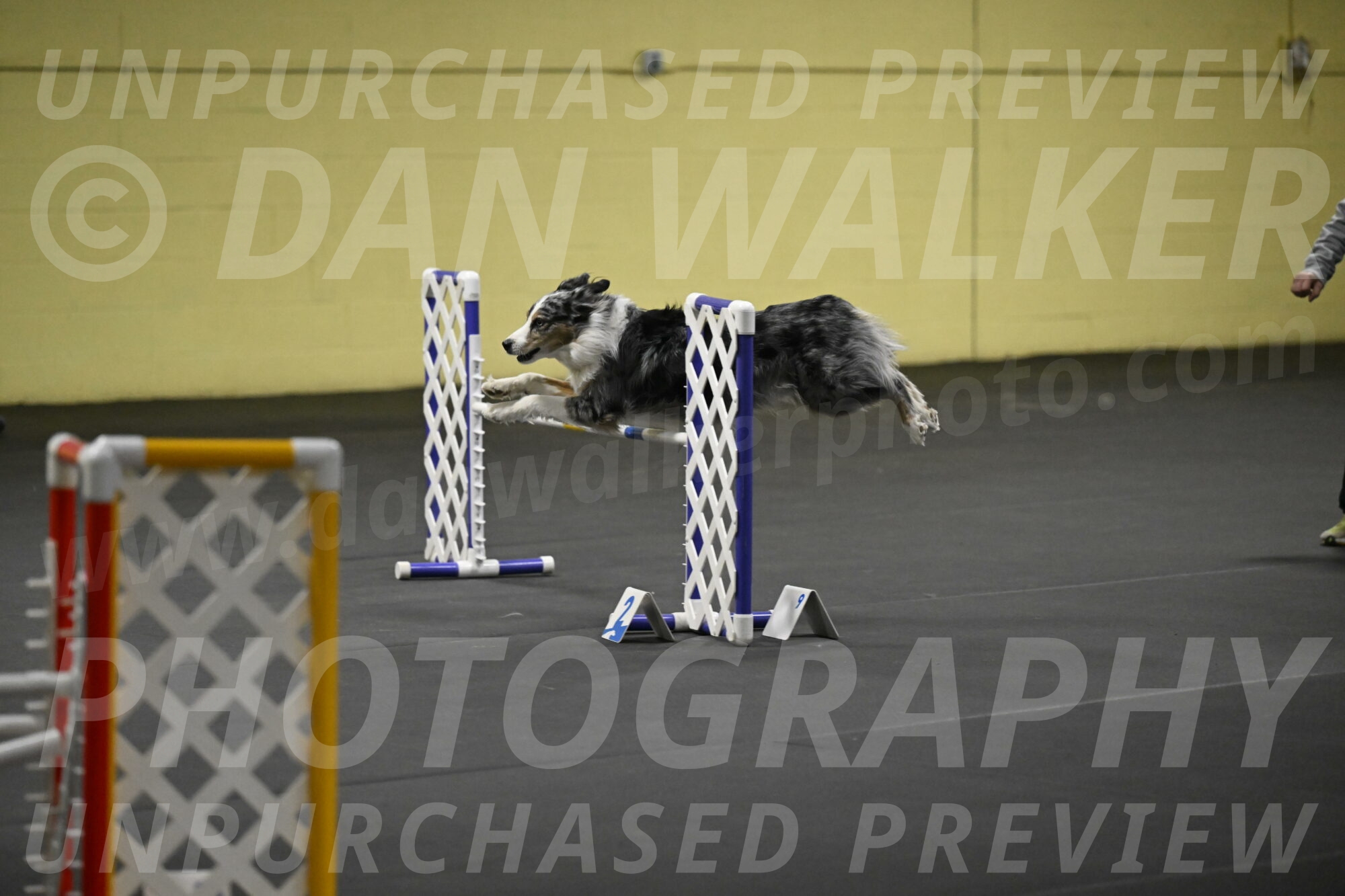 Kaiden-Armbrust-05715