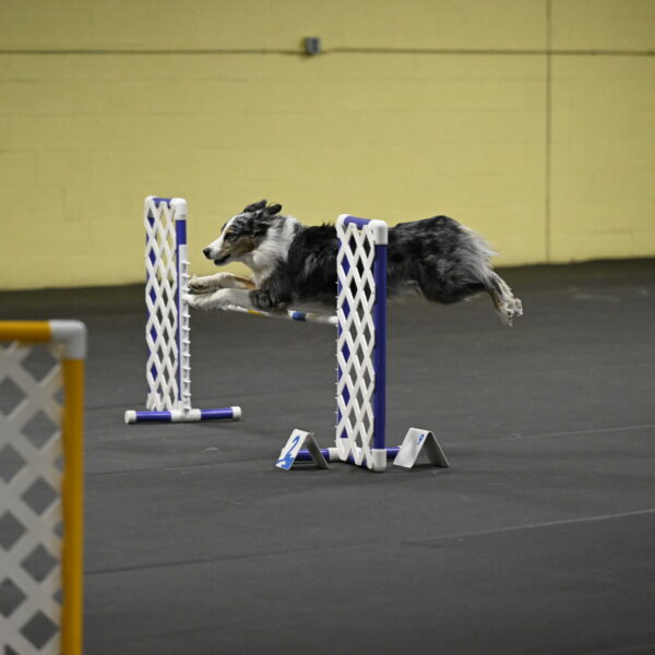 Kaiden-Armbrust-05715