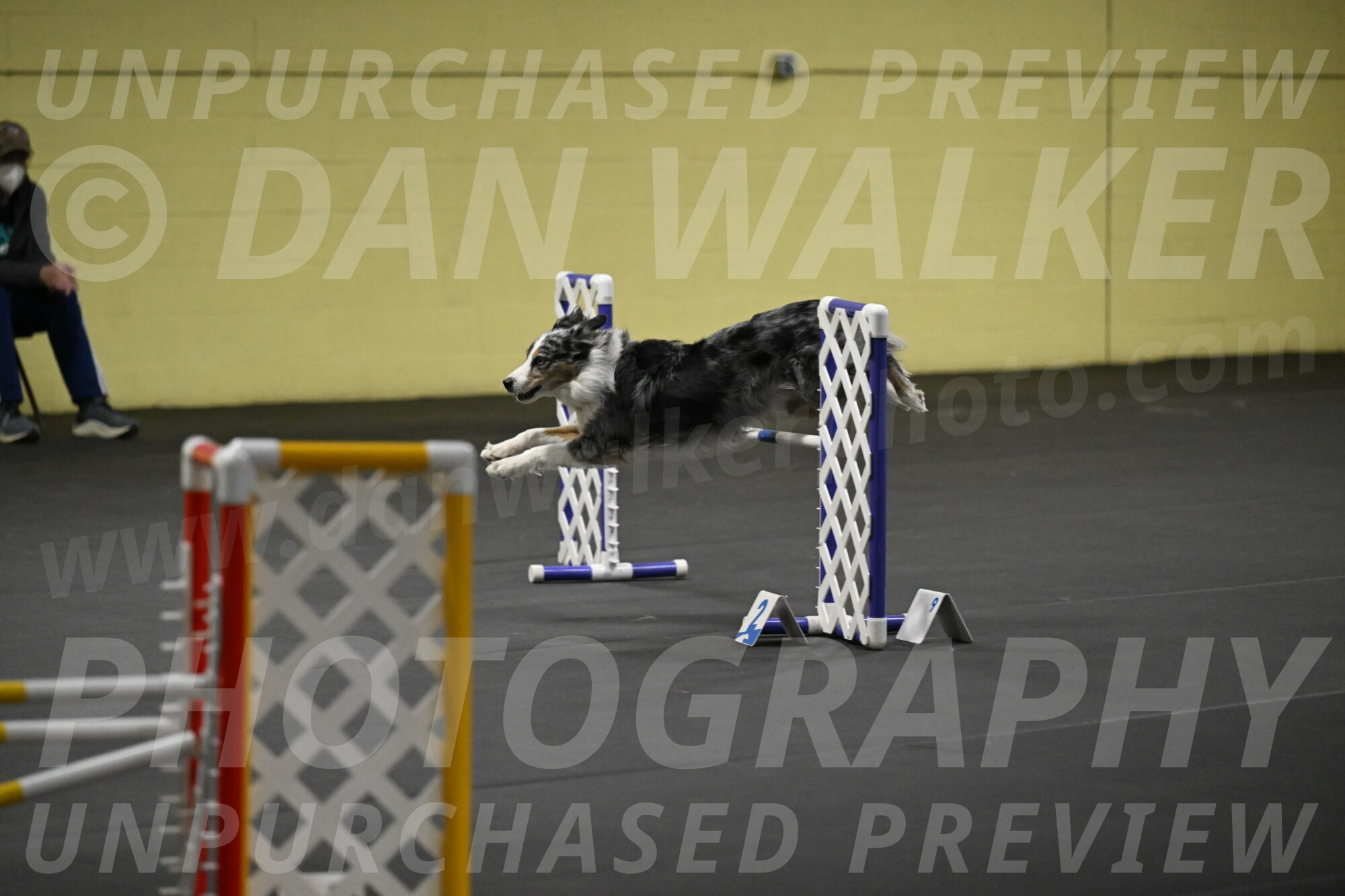 Kaiden-Armbrust-05716