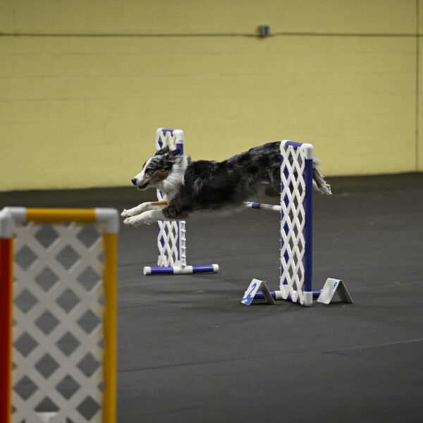 Kaiden-Armbrust-05716