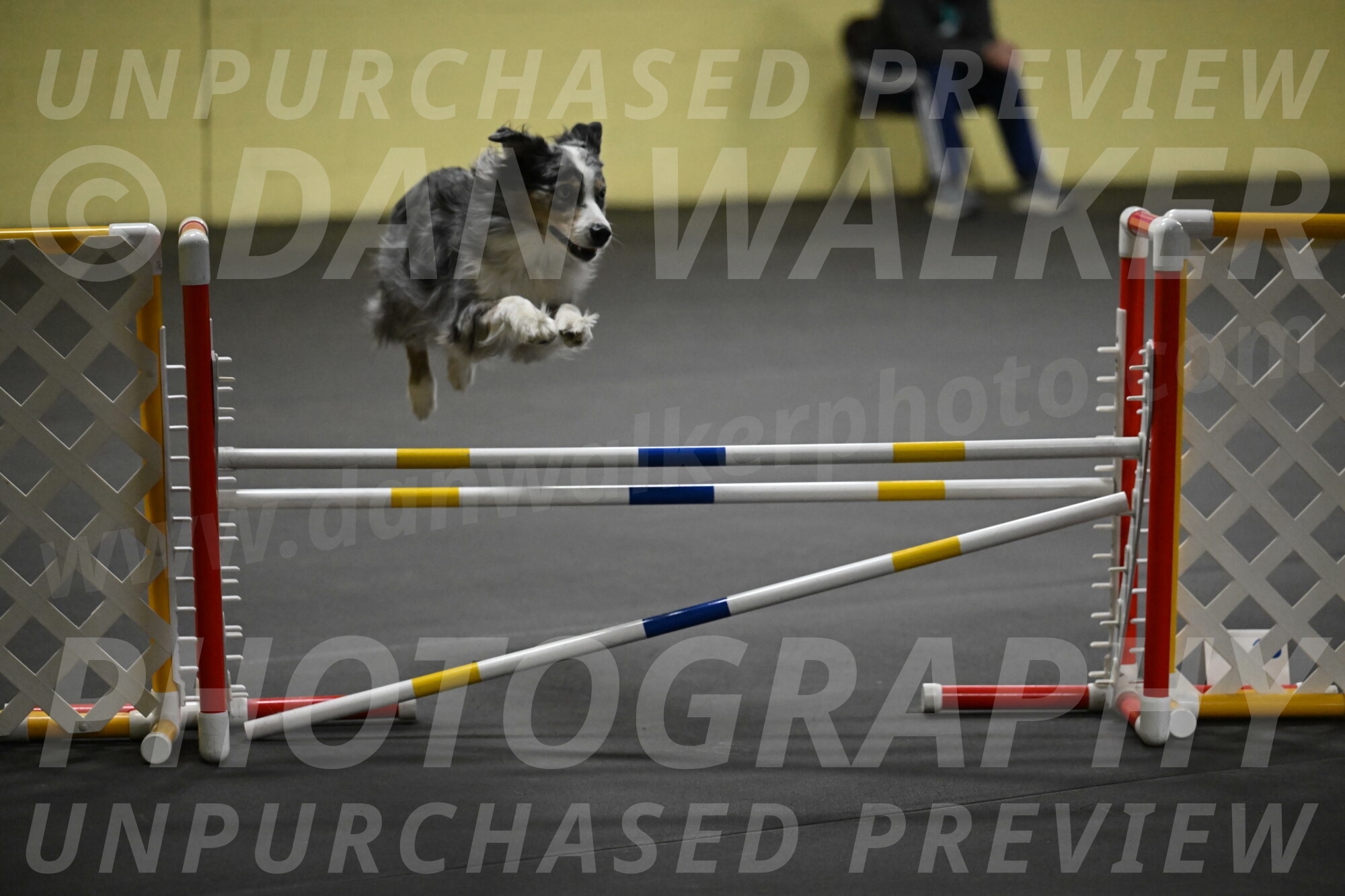 Kaiden-Armbrust-05718