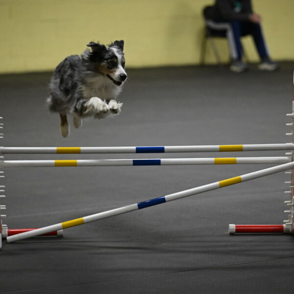 Kaiden-Armbrust-05718