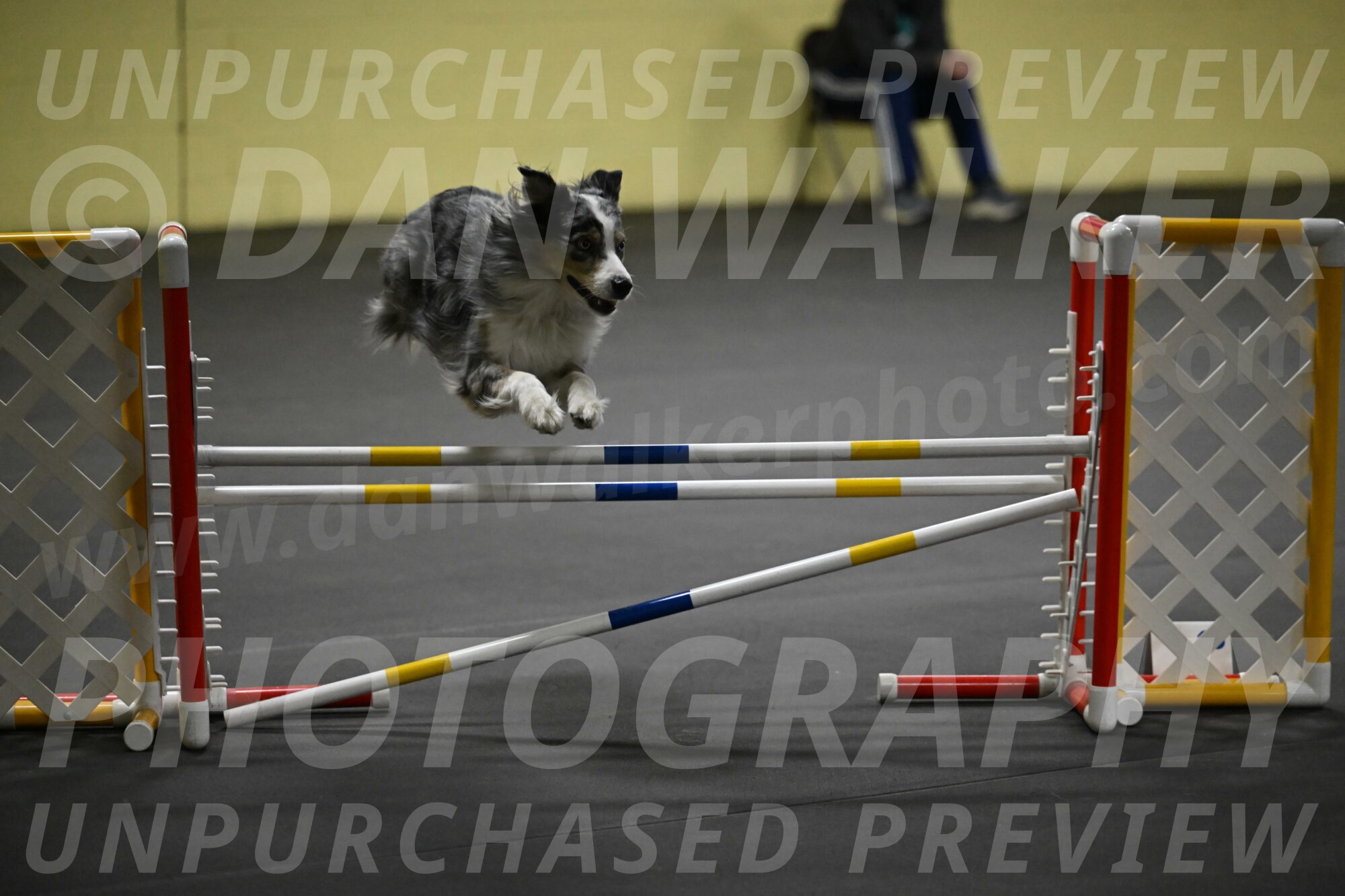 Kaiden-Armbrust-05719