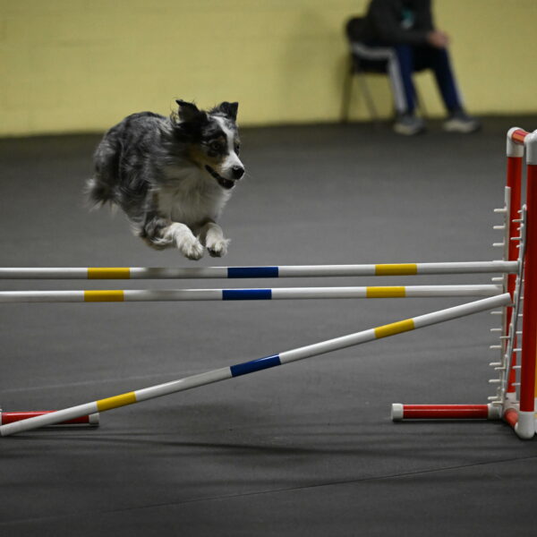 Kaiden-Armbrust-05719