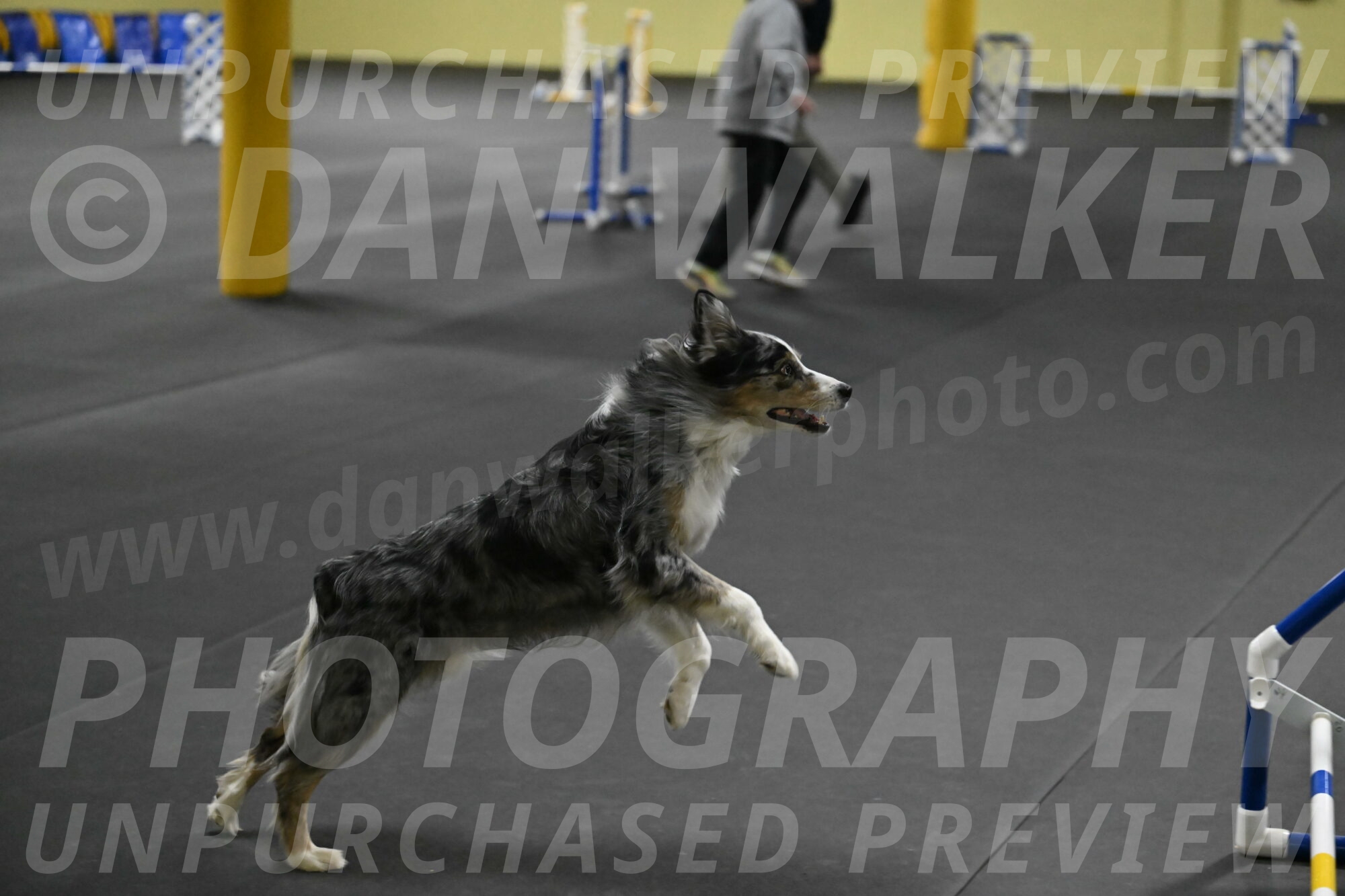 Kaiden-Armbrust-05724