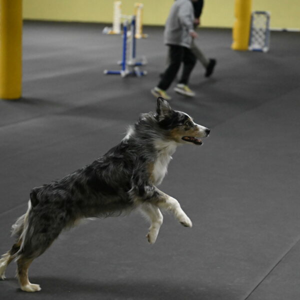 Kaiden-Armbrust-05724