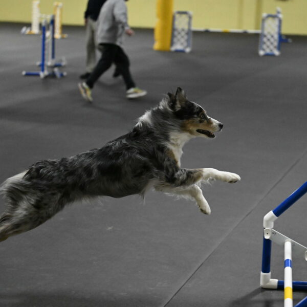 Kaiden-Armbrust-05725