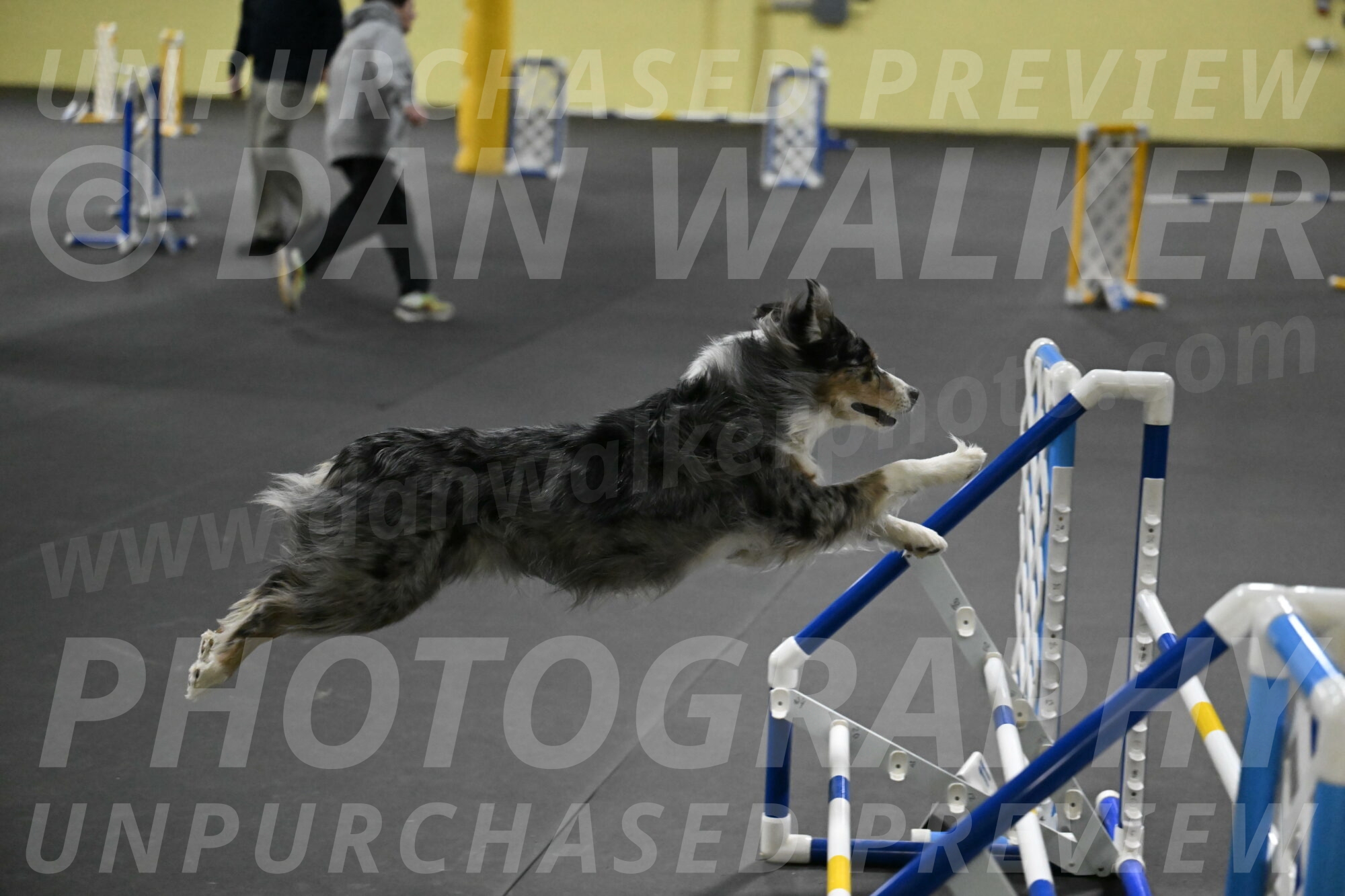 Kaiden-Armbrust-05726