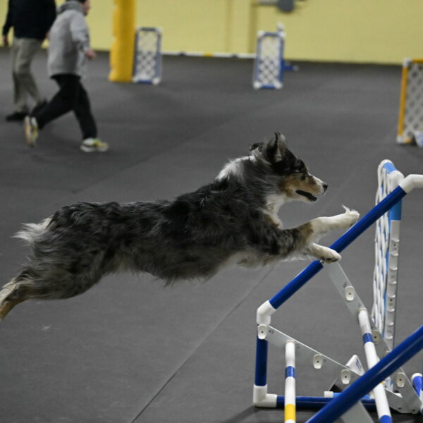 Kaiden-Armbrust-05726