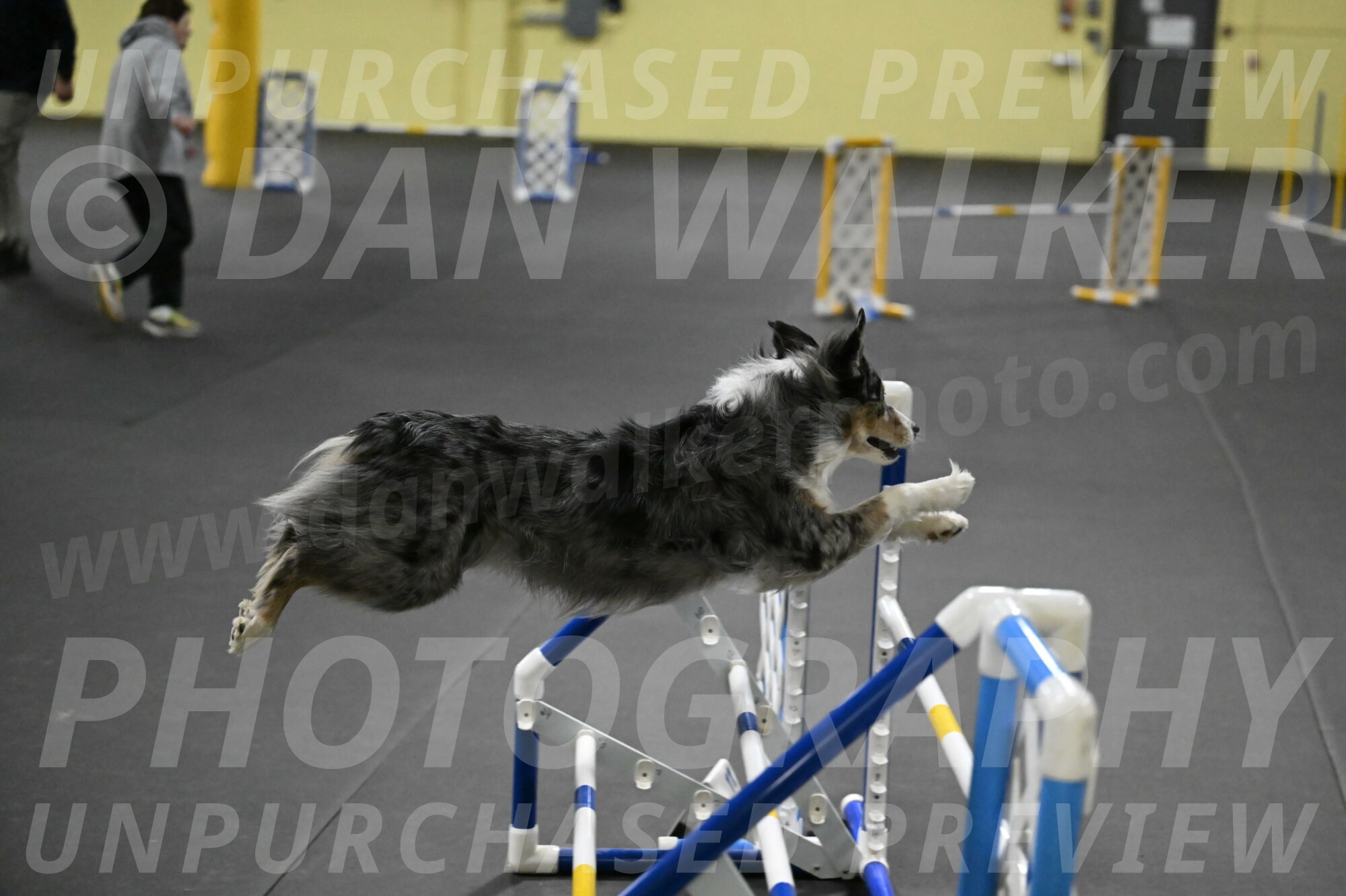 Kaiden-Armbrust-05727