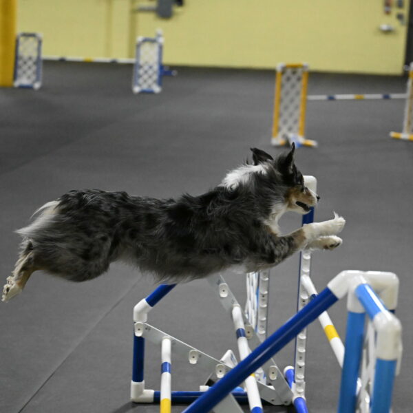 Kaiden-Armbrust-05727