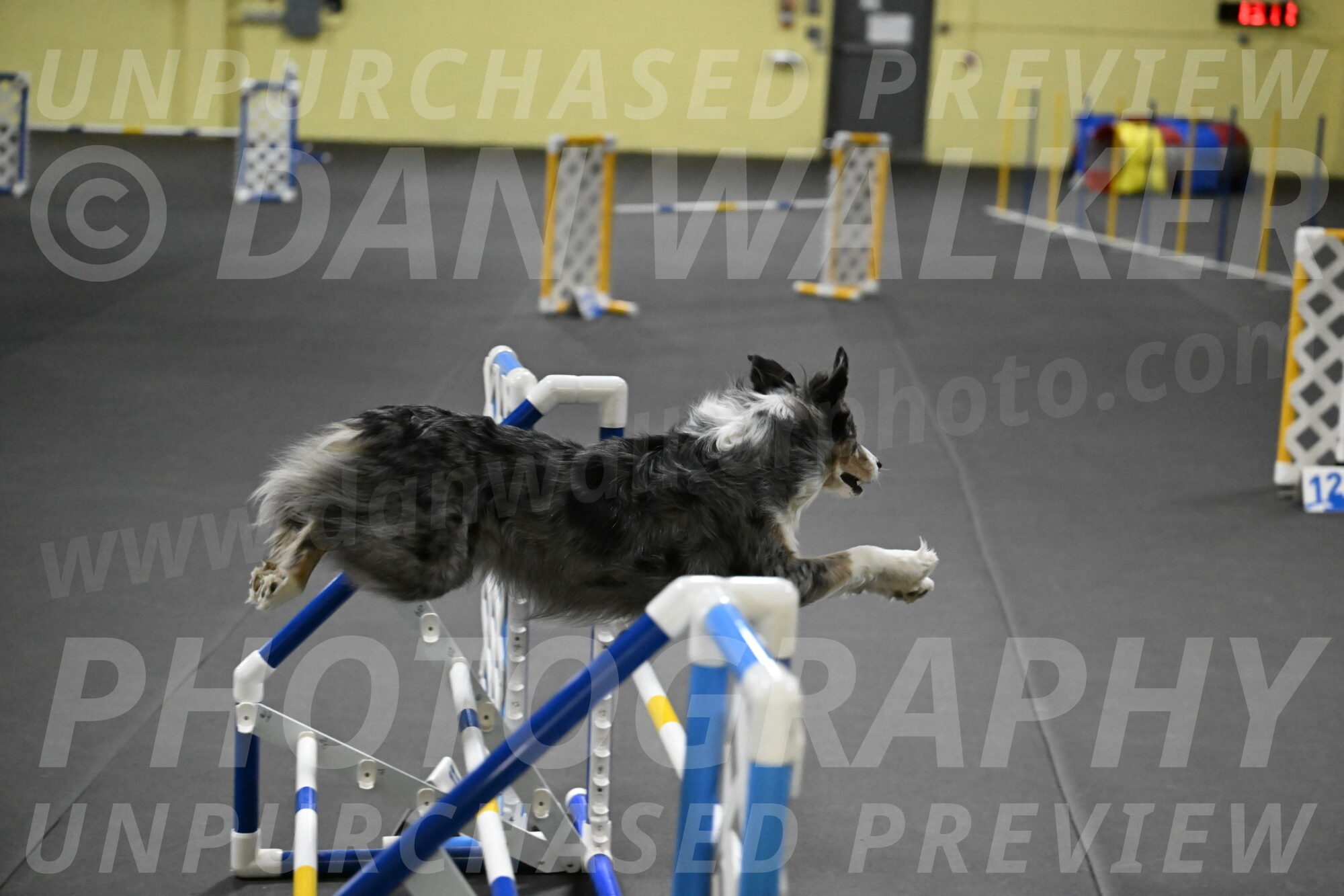 Kaiden-Armbrust-05728