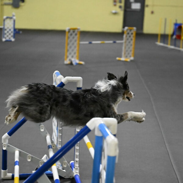 Kaiden-Armbrust-05728