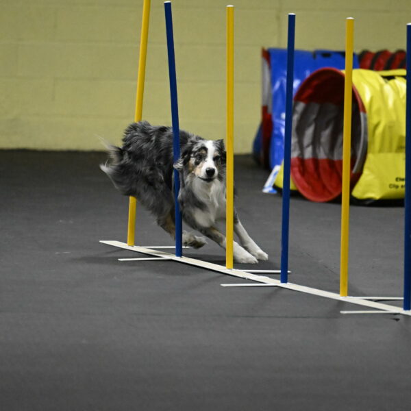 Kaiden-Armbrust-05731