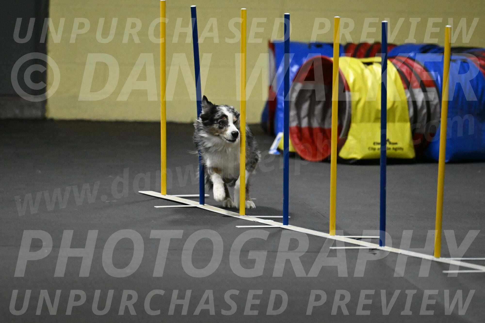 Kaiden-Armbrust-05732