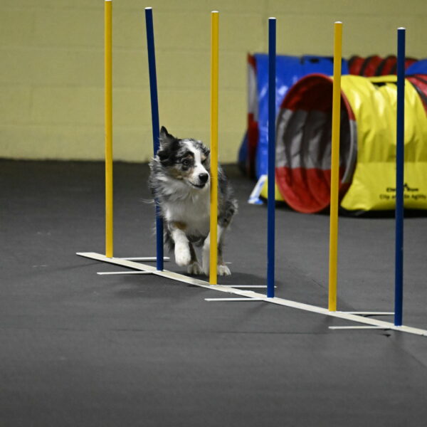 Kaiden-Armbrust-05732