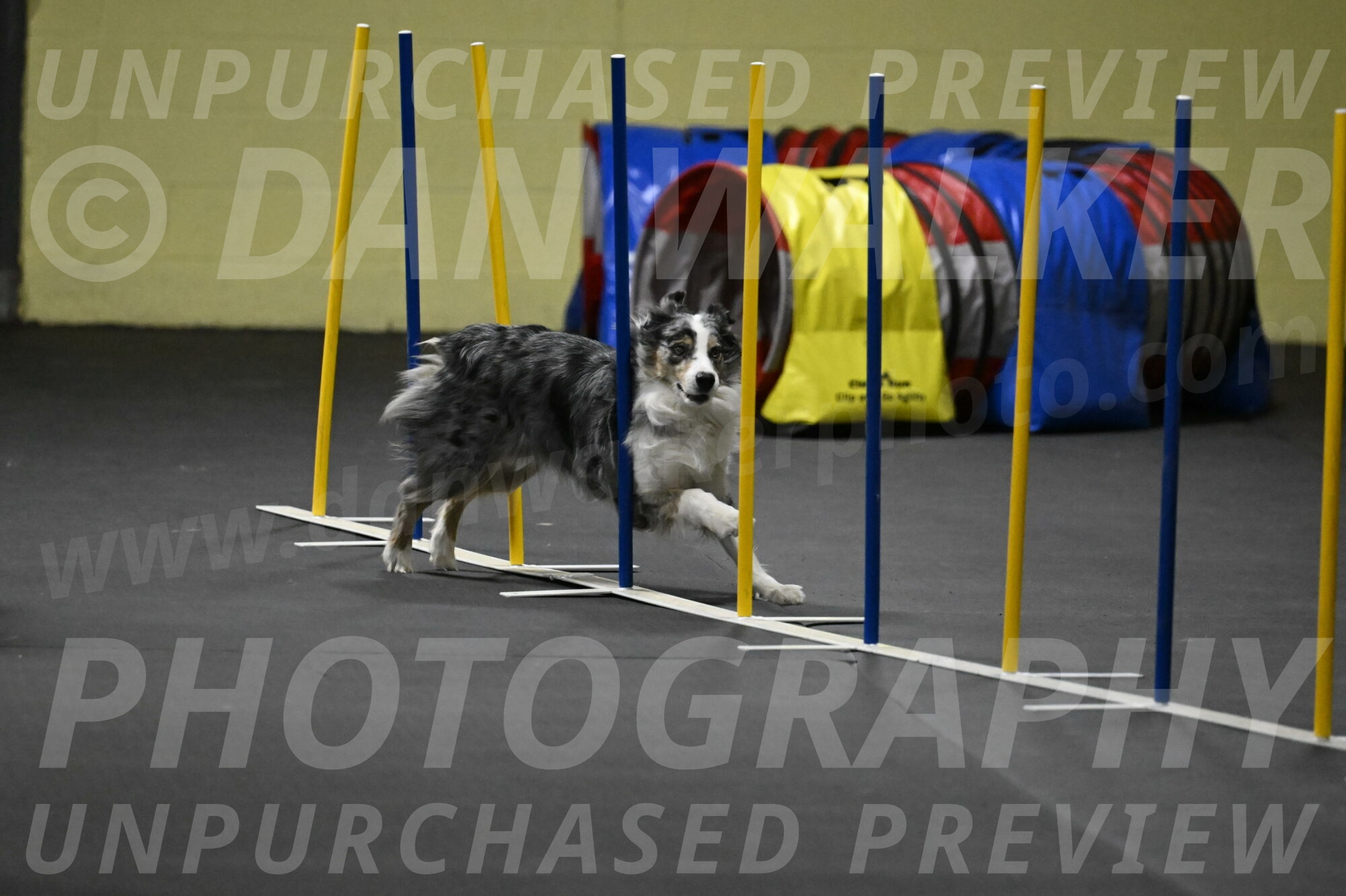 Kaiden-Armbrust-05736