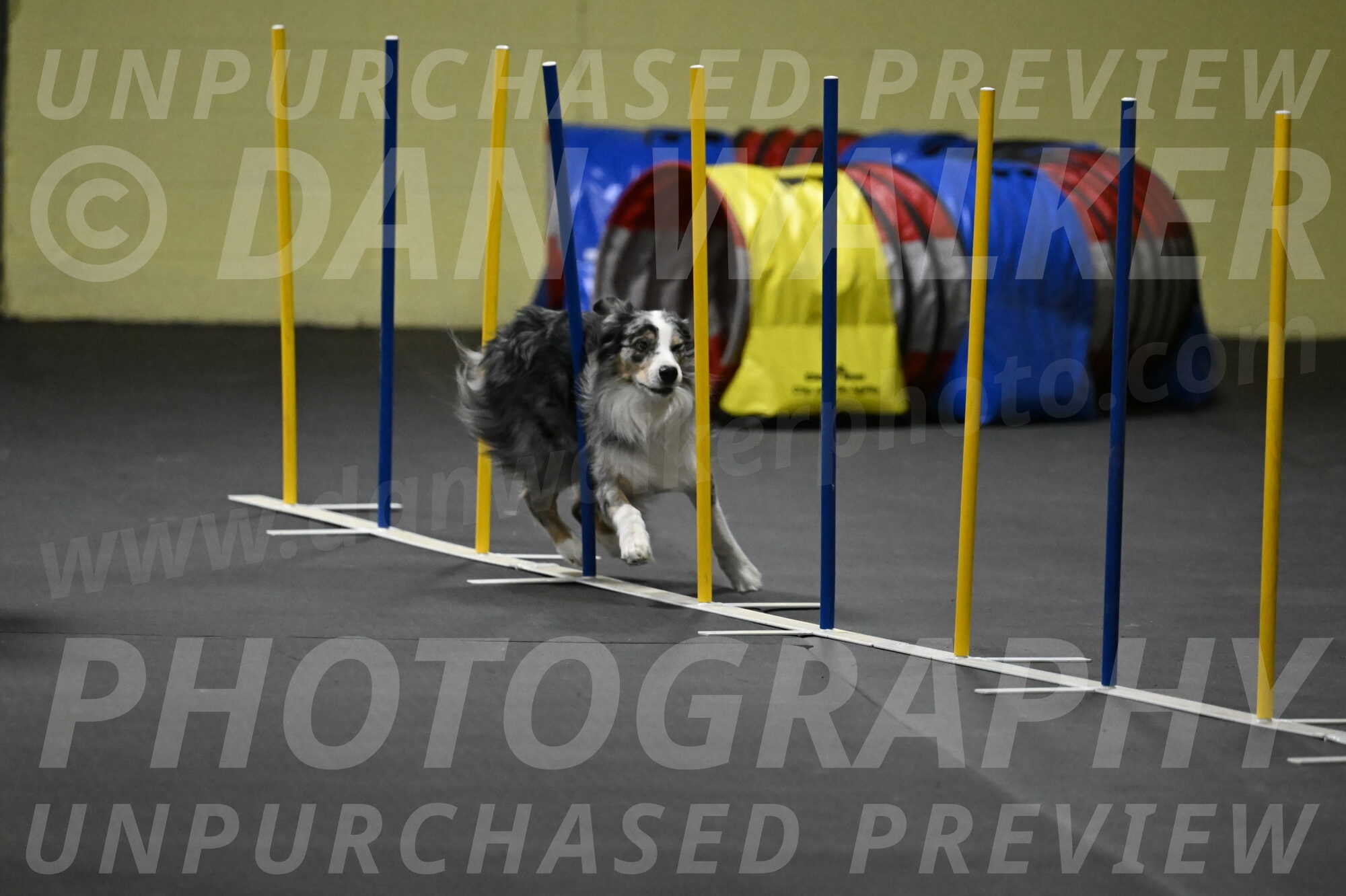 Kaiden-Armbrust-05737