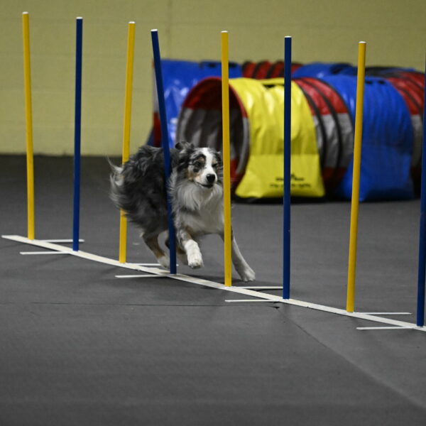 Kaiden-Armbrust-05737