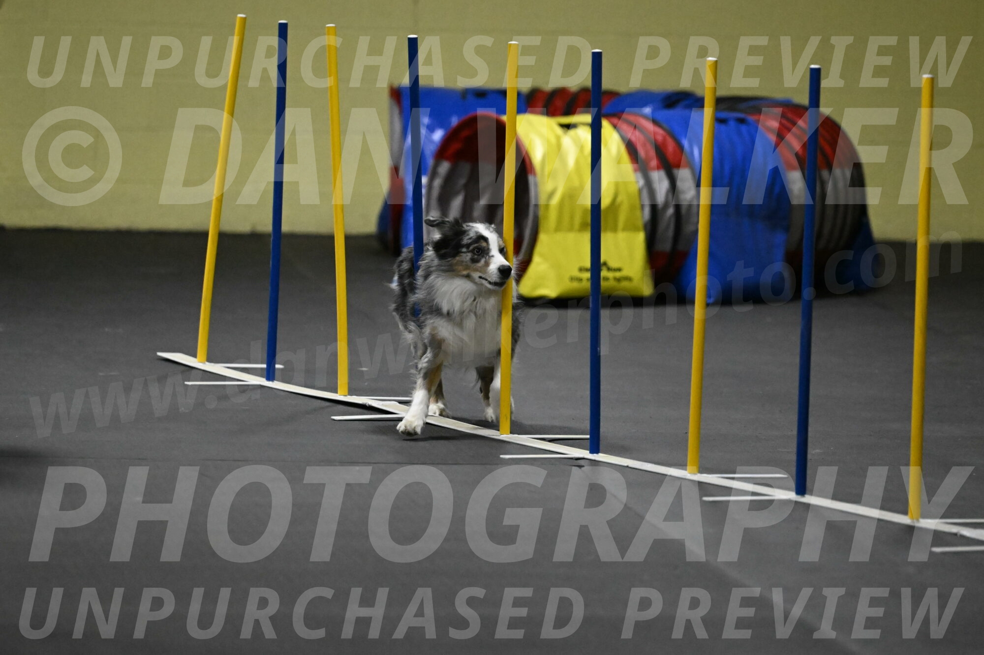 Kaiden-Armbrust-05738