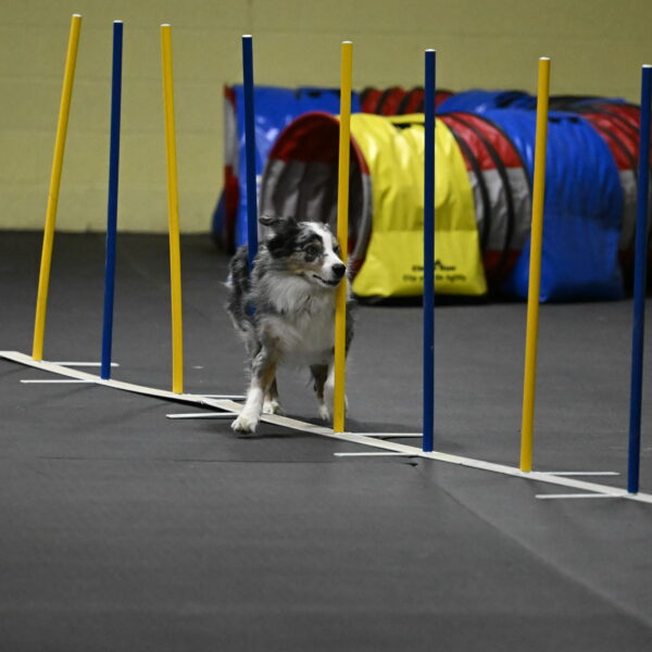 Kaiden-Armbrust-05738