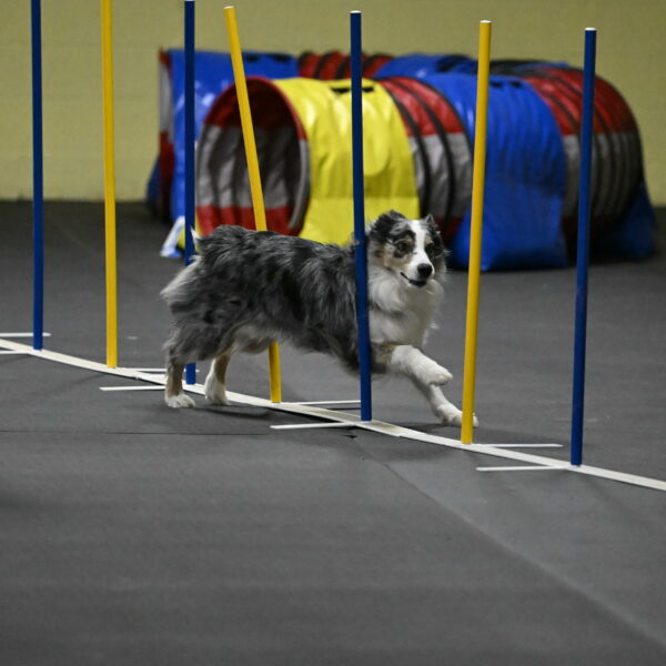 Kaiden-Armbrust-05742