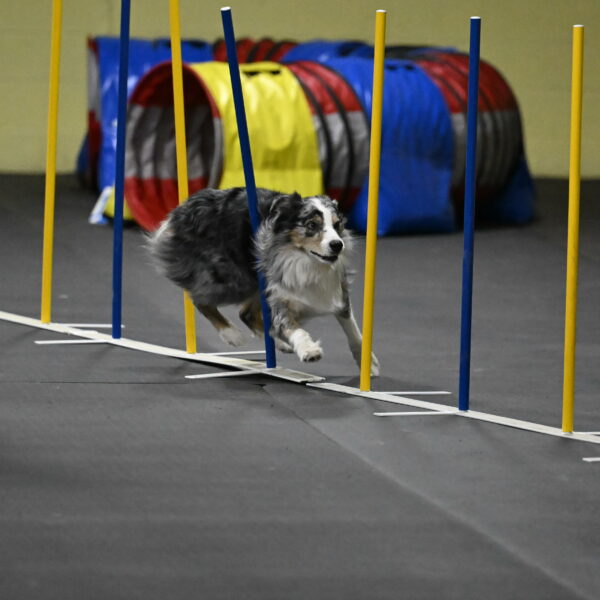 Kaiden-Armbrust-05743