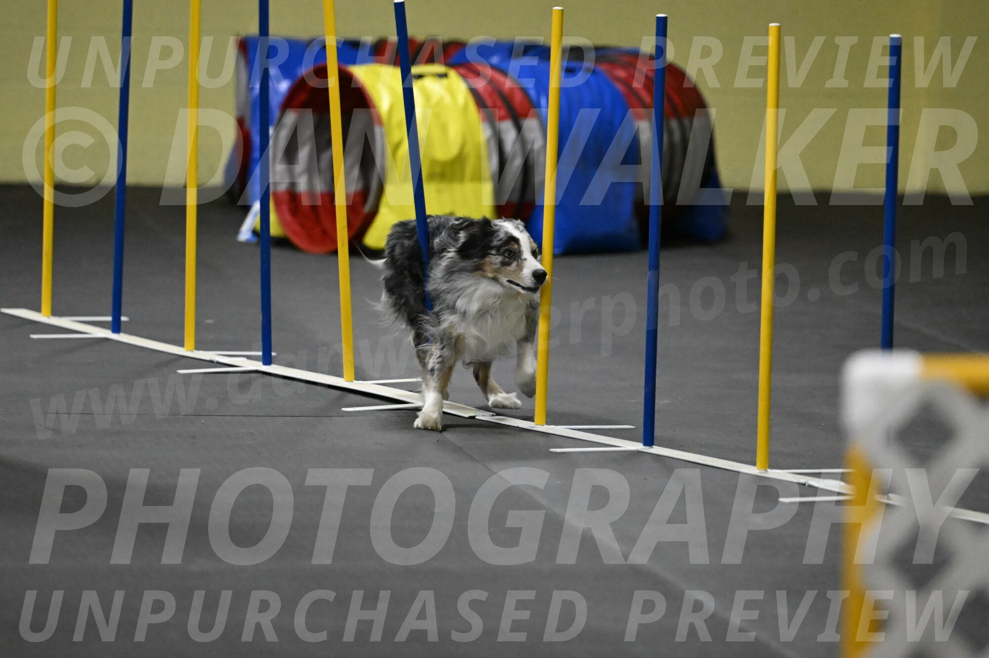 Kaiden-Armbrust-05744