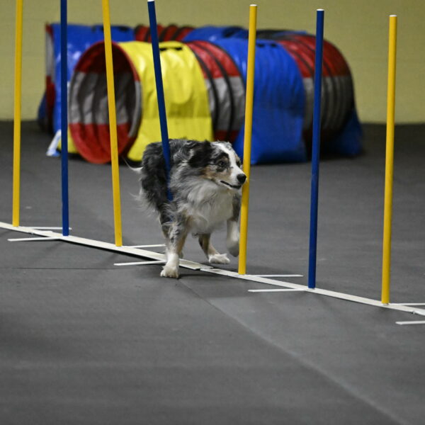 Kaiden-Armbrust-05744