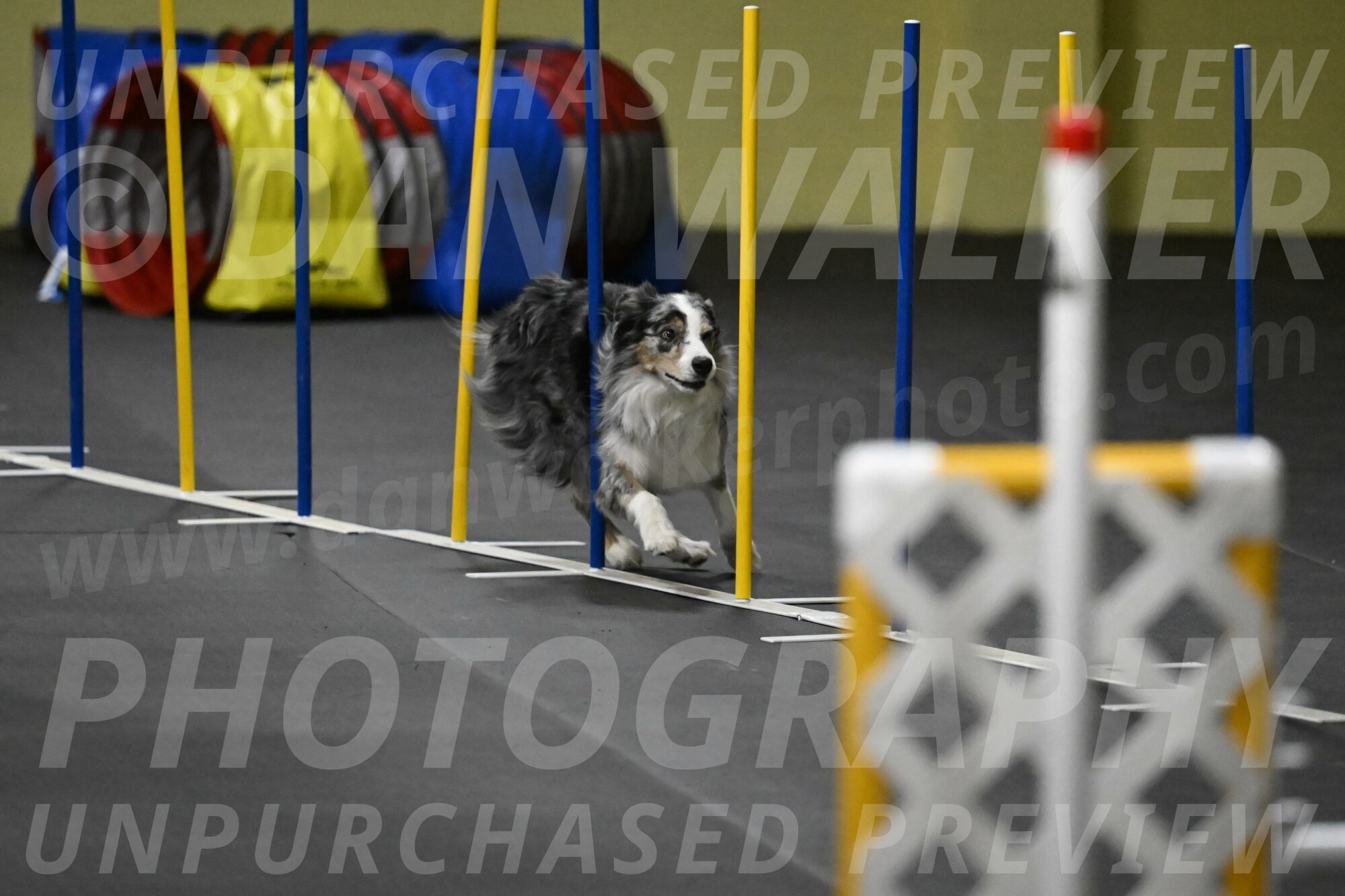 Kaiden-Armbrust-05749