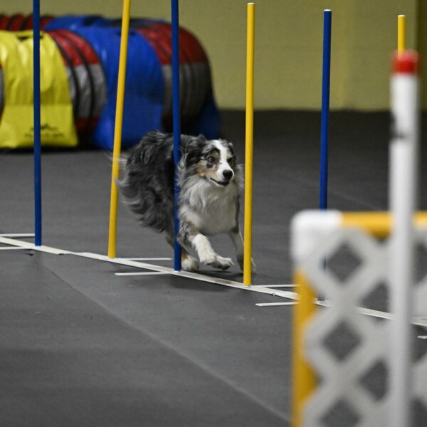 Kaiden-Armbrust-05749