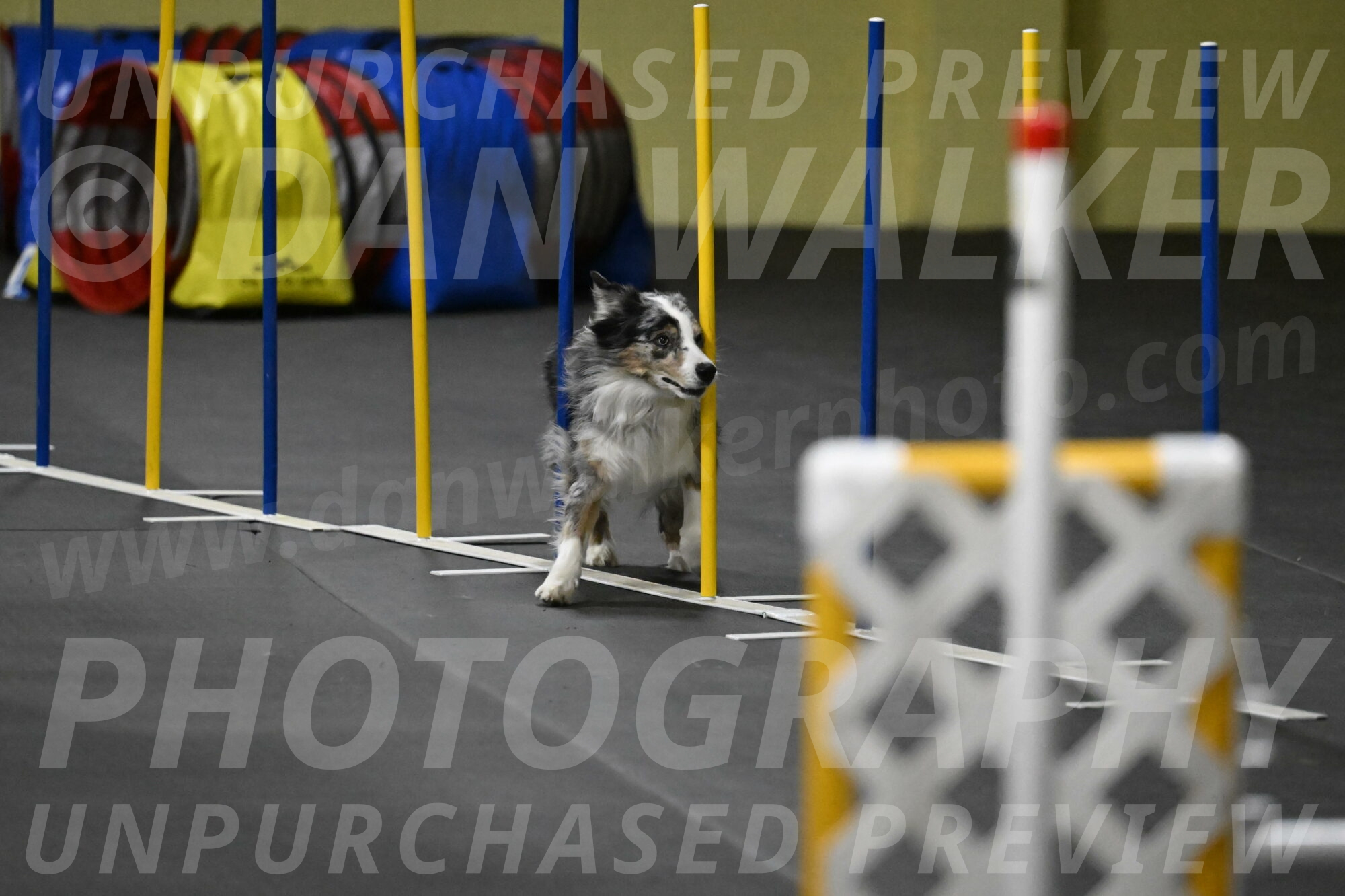 Kaiden-Armbrust-05750