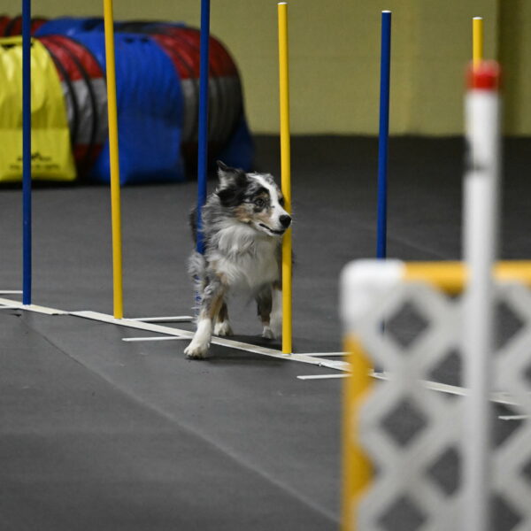 Kaiden-Armbrust-05750