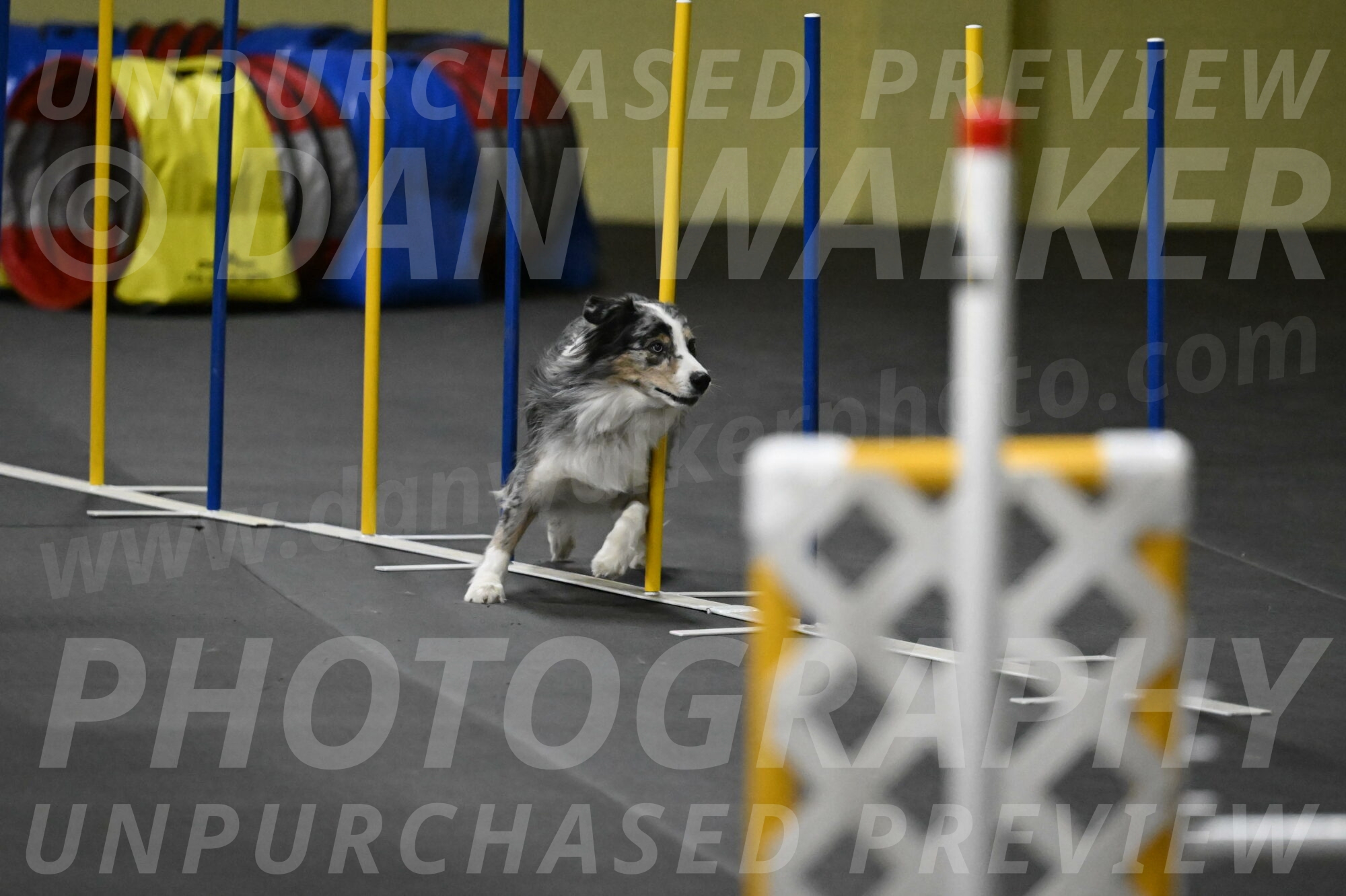 Kaiden-Armbrust-05751