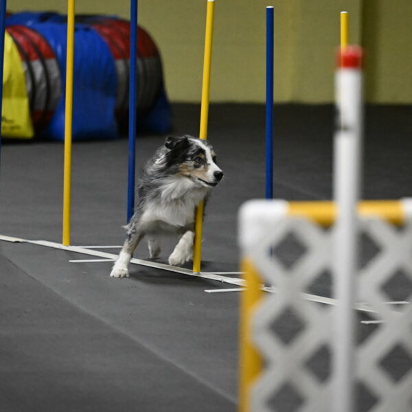 Kaiden-Armbrust-05751