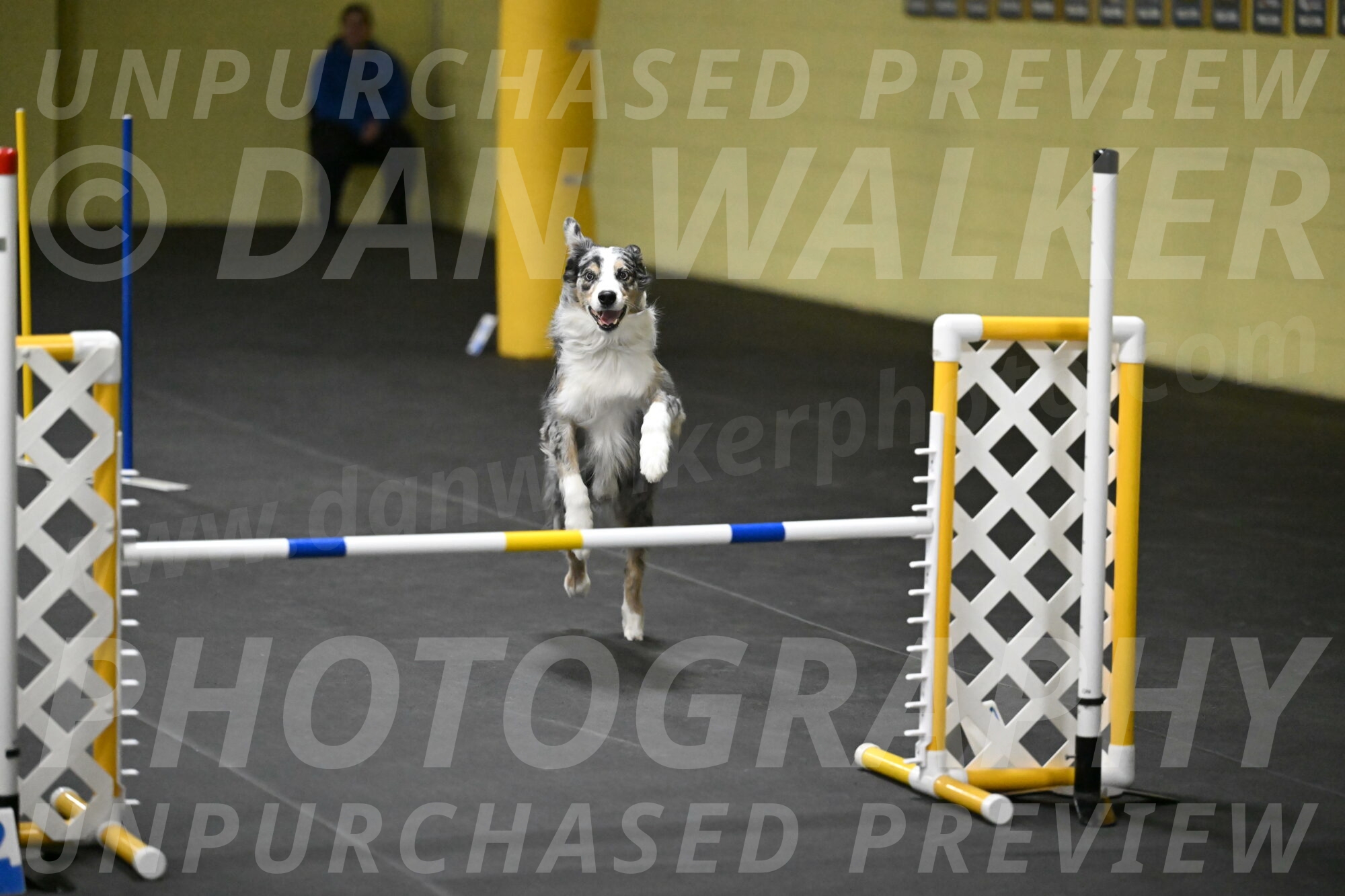 Kaiden-Armbrust-05752