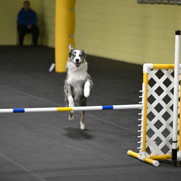 Kaiden-Armbrust-05752