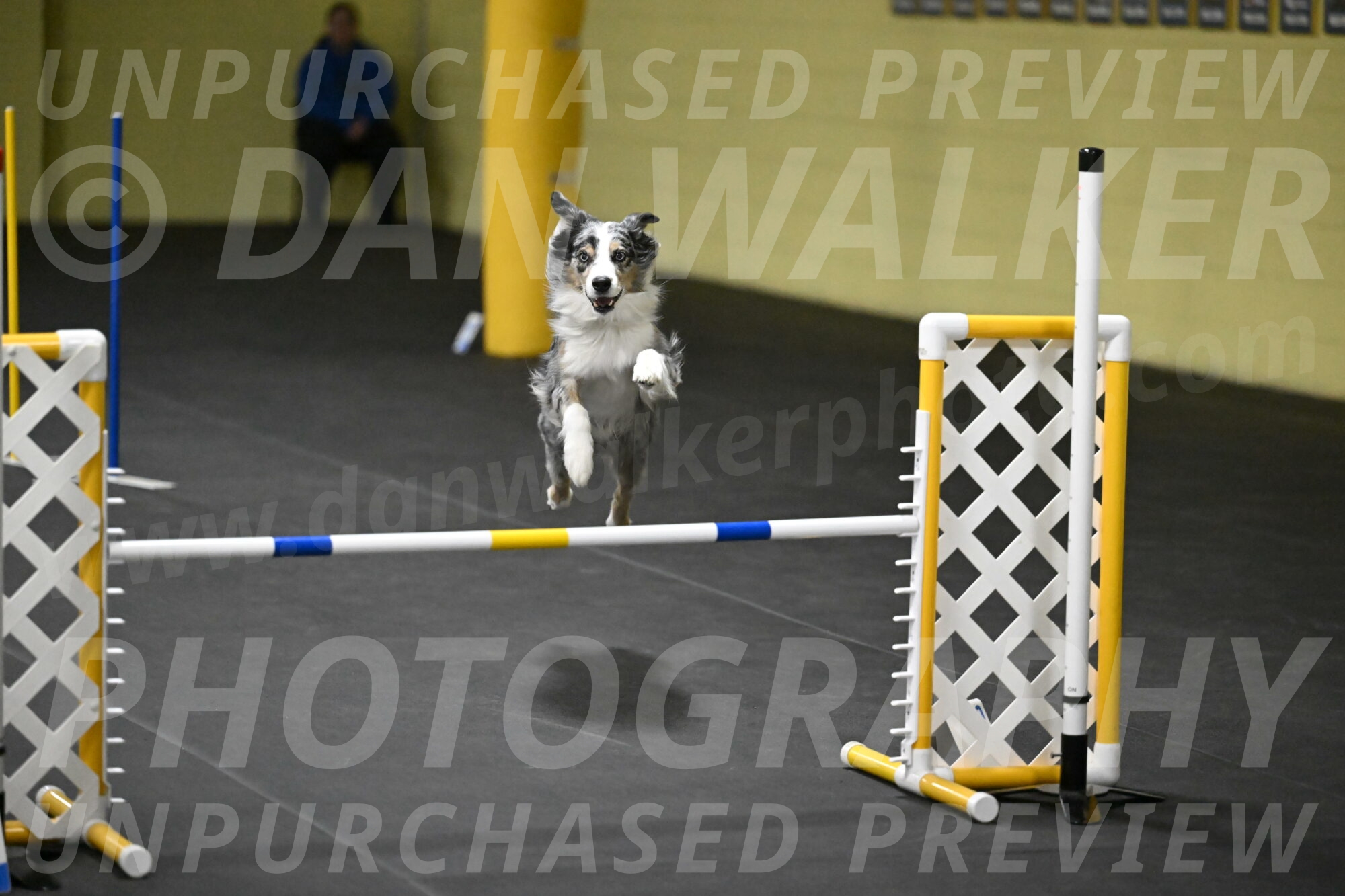 Kaiden-Armbrust-05753