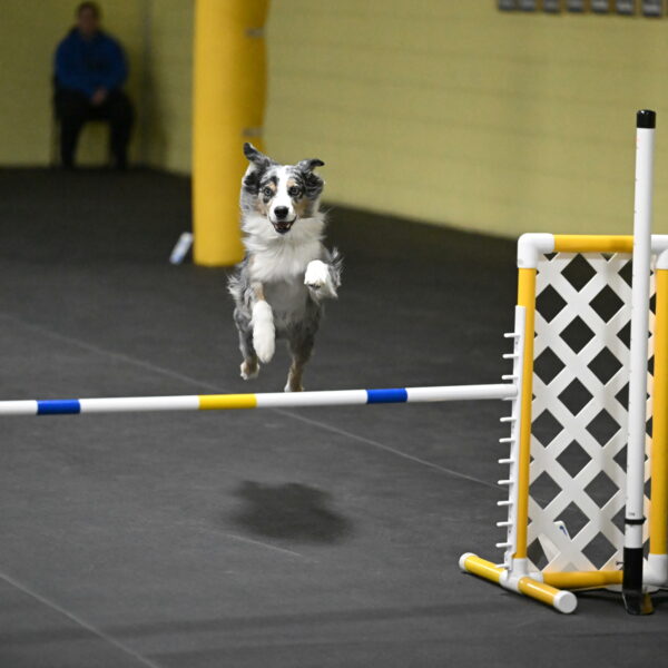 Kaiden-Armbrust-05753