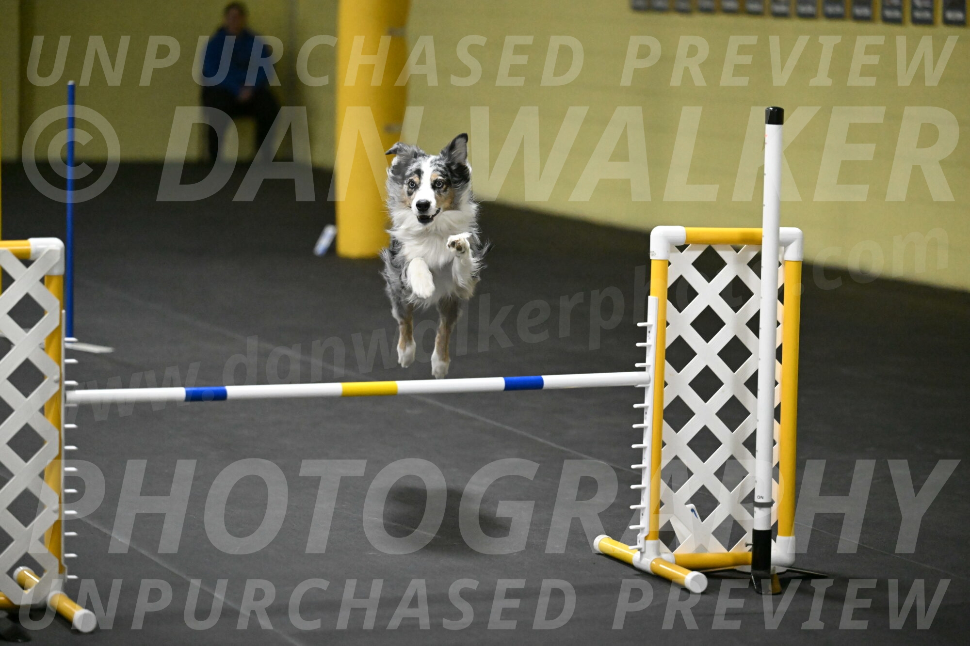 Kaiden-Armbrust-05754