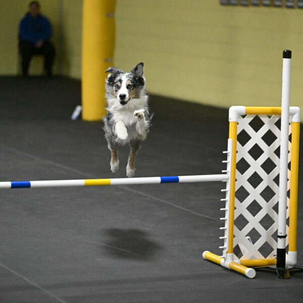 Kaiden-Armbrust-05754