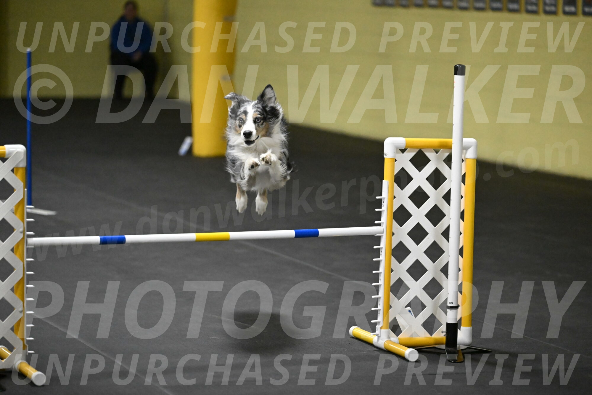 Kaiden-Armbrust-05755